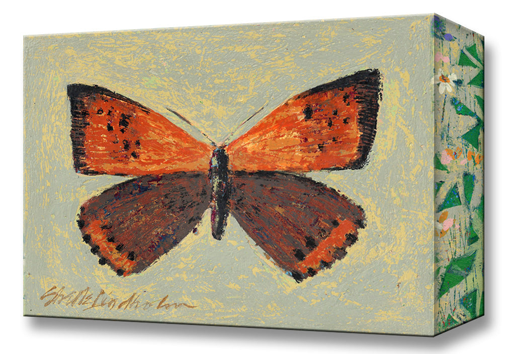American Copper Butterfly:  Metal 18x26 Inches