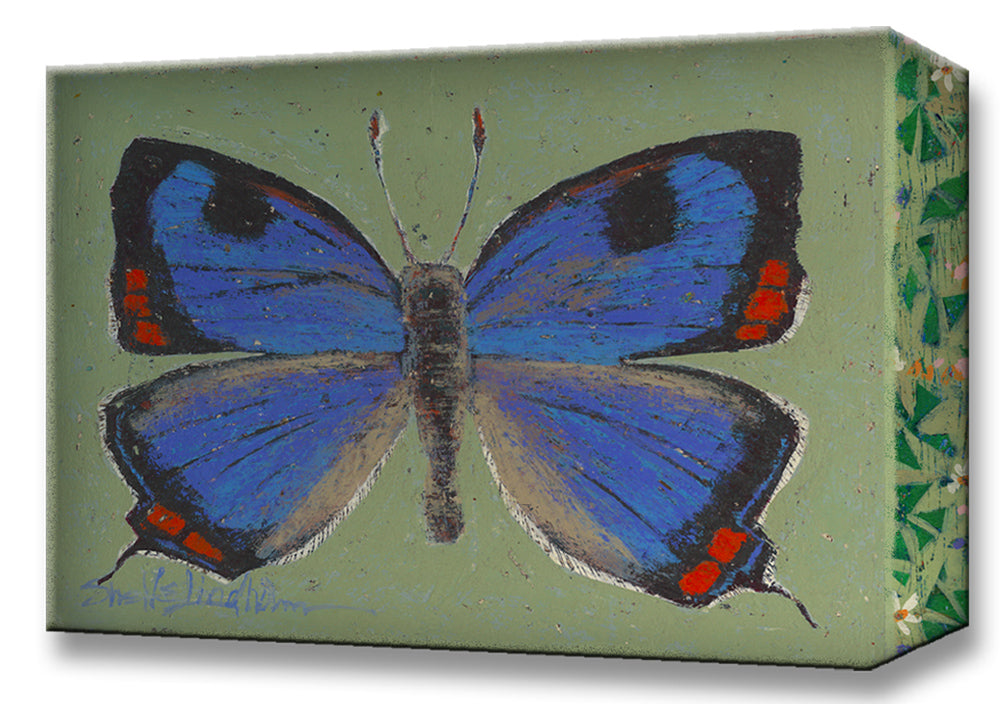 Colorado Butterfly:  Metal 18x26 Inches